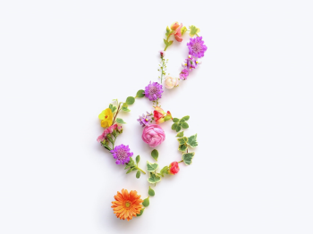 サマセット・ピアノ教室